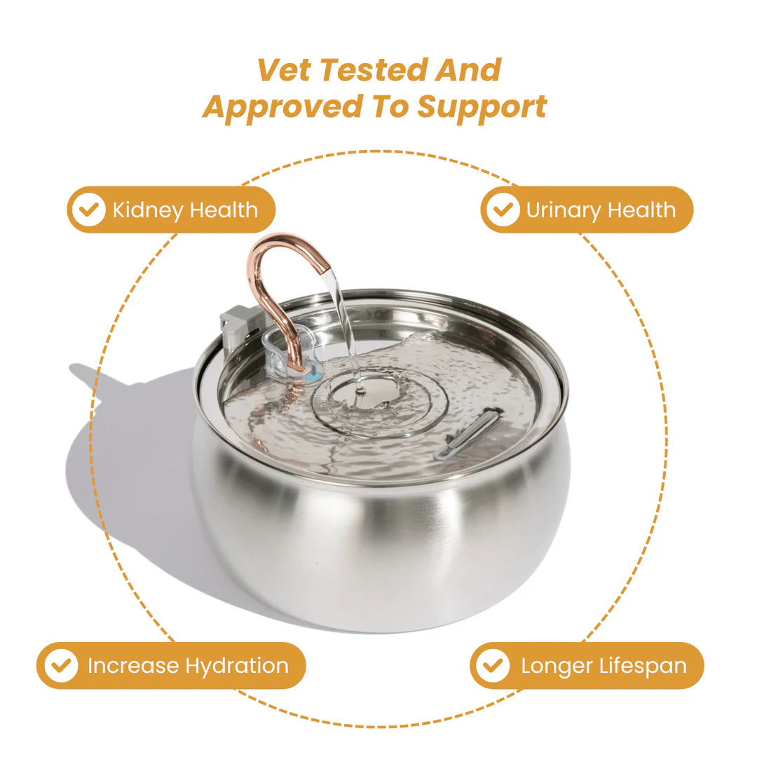 The KittySpout™ - Health & Happiness Cat Kit