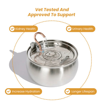 The KittySpout™ - Health & Happiness Cat Kit