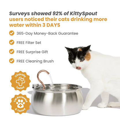 The KittySpout™ - Health & Happiness Cat Kit