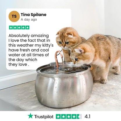 The KittySpout™ - Health & Happiness Cat Kit