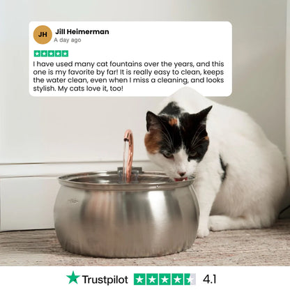 The KittySpout™ - Health & Happiness Cat Kit